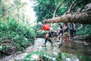 BIB: 
                            <button type="button" onclick="openModal(25452706)" class="btn btn-primary btn-sm float-right btn-popup" data-toggle="modal" data-target=".modal-high-quality">
                        <i class="fas fa-shopping-cart"></i> Add to Cart
                    </button>
                                            <button type="button" onclick="isThisMe(25452706, true)" class="btn btn-success btn-sm float-right btn-popup btn-isme hidden" data-toggle="tooltip" data-placement="bottom" title="นี่คือรูปของคุณใช่ไหม คลิกที่นี่เพื่อเอาเข้าอัลบั้ม">
                        <i class="fas fa-plus"></i> Add to album
                    </button>
                    <button type="button" onclick="isThisMe(25452706, false)" class="btn btn-warning btn-sm float-right btn-popup btn-isnotme hidden">
                        <i class="fas fa-ban"></i> Remove from album
                    </button>